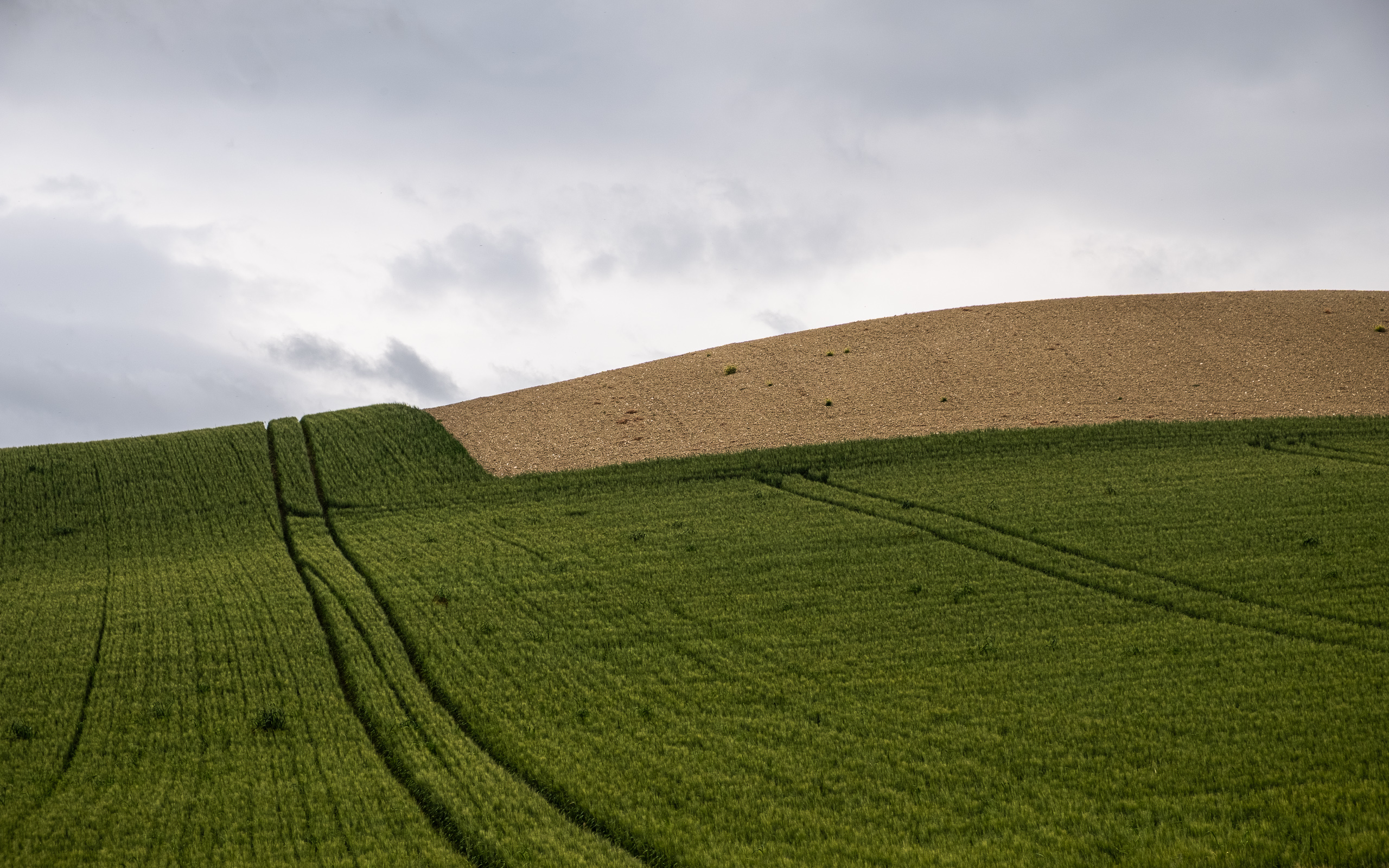 Felder in Grün und Braun – sanfte Hügel auf dem Weg